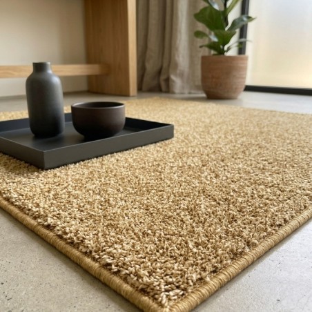 Struktura dywanu Shaggy 200x300