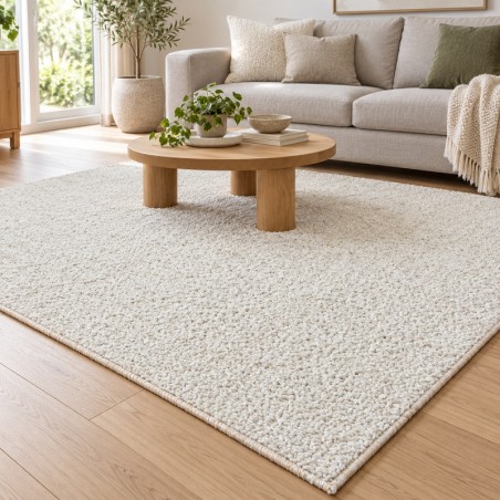Dywan Shaggy 200x300 cm – Gruby i Miękki | Kolory