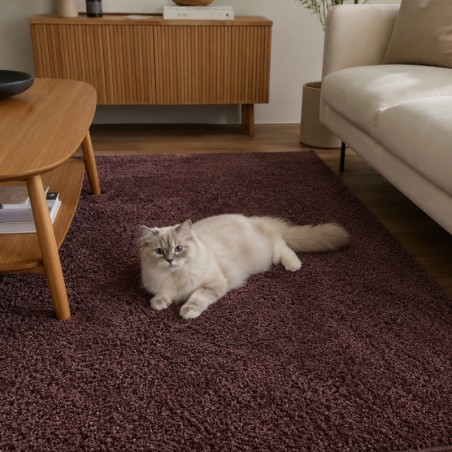 Dywan Shaggy 400x400 cm – Do Dużego Salonu