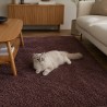 Dywan Shaggy 140x200 miękki – kolory do wyboru