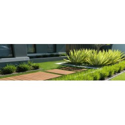 Sztuczna trawa 150x500cm WIMBLEDON BOISKO TARAS BALKON DYWAN NA ZEWNĄTRZ